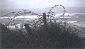 barbedwire